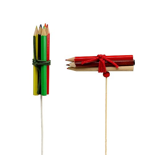 Floristik24 Stiftebündel Stecker bunt 10St