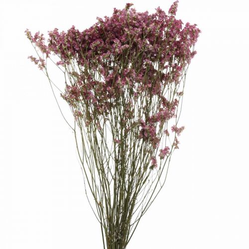 Floristik24 Statice, Strandflieder, Trockenblume, Wildblumen-Bund Pink L52cm 23g