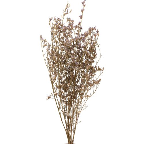 Floristik24 Strandflieder Limonium Trockenblumen Lila 70cm 50g