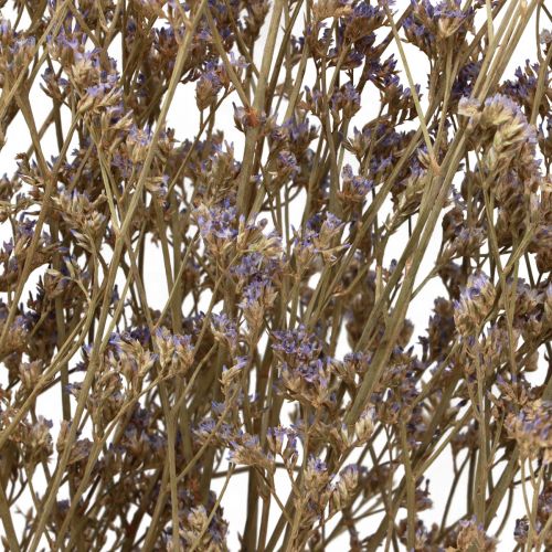 Artikel Strandflieder Limonium Trockenblumen Lila 70cm 50g