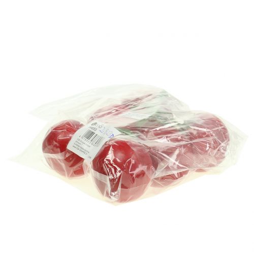 Floristik24 Strauchtomate Ø6cm 6St