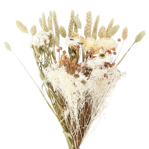 Floristik24 Strauß mit Trockenblumen Strohblumen Getreide Weiß 55cm