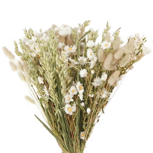 Floristik24 Strauß Trockenblumen Weiß Strohblumen Hafer Lagurus 55cm