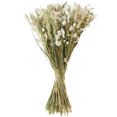 Floristik24 Strauß Trockenblumen Weiß Strohblumen Hafer Lagurus 55cm
