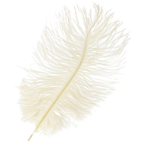Floristik24 Exquisite Cremeweiße Deko-Feder Straußenfeder weiß 20-25cm 12St.