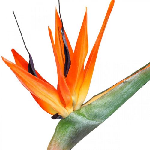 Floristik24 Strelizie reginae Kunstblume Orange Paradiesvogelblume L85cm