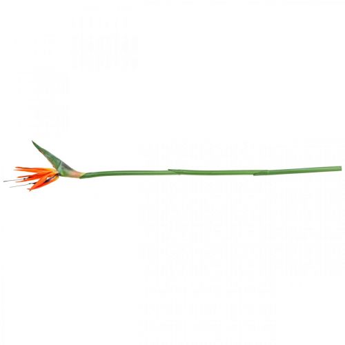 Floristik24 Strelizie reginae Kunstblume Orange Paradiesvogelblume L85cm