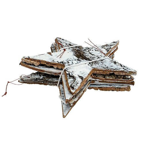 Floristik24 Stern aus Birkenrinde groß Weiß 19cm 4St
