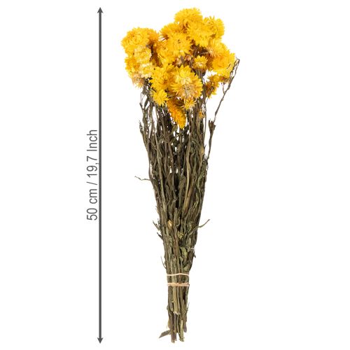 Artikel Strohblume Gelb getrocknet Helichrysum Trockenblumen Deko Bund 100g