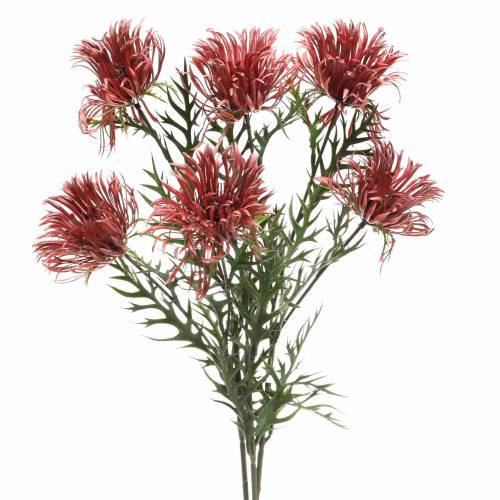 Floristik24 Xanthium-Zweig Bordeaux 69cm 3St