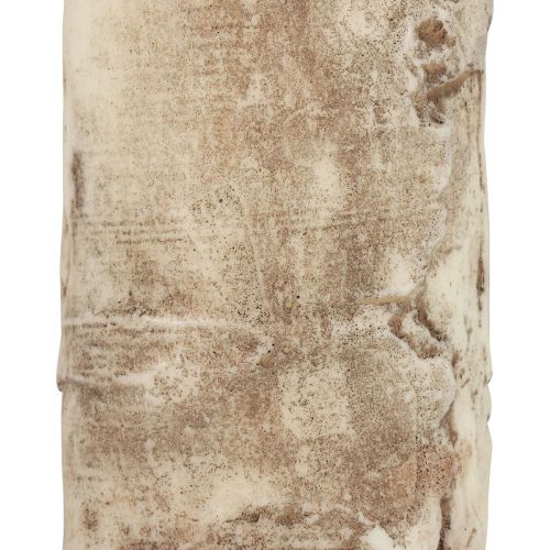Floristik24 Stumpenkerze Baumrinde Kerze Birke Dekor Creme 140/80mm