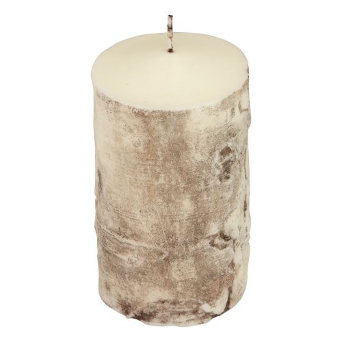 Floristik24 Stumpenkerze Baumrinde Kerze Birke Dekor Creme 140/80mm
