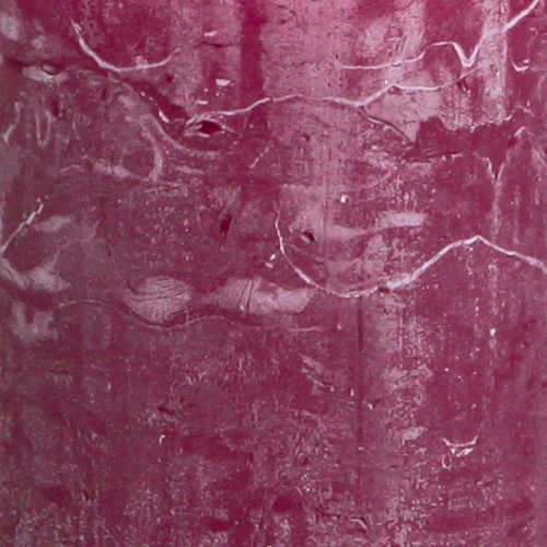 Floristik24 Stumpenkerzen durchgefärbt Berry Kerzen Lila 50×100cm 4 St