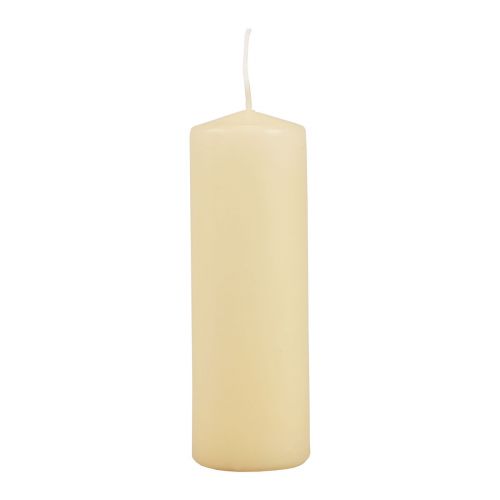 Stumpenkerzen Creme Adventskerzen Creme 150/50mm 24St