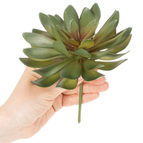 Künstliche Sukkulenten grün 18cm 3er-Set aus Kunststoff | Floristik24.at