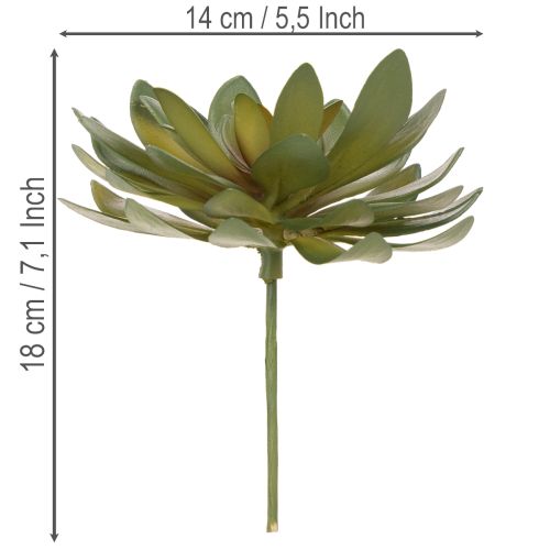 Künstliche Sukkulenten grün 18cm 3er-Set aus Kunststoff | Floristik24.at