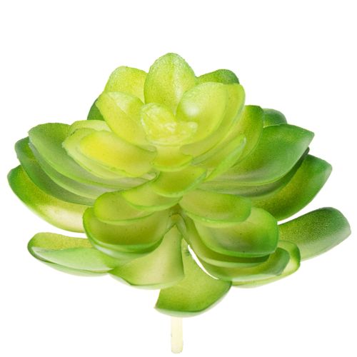 Künstliche Sukkulenten grün 10 cm, 4 Stück, Dekoration für Schale oder Vase