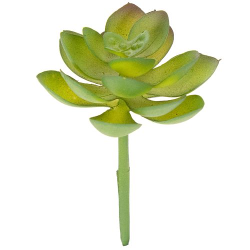 Künstliche Sukkulente grün, Kunststoff, 9 cm Höhe
