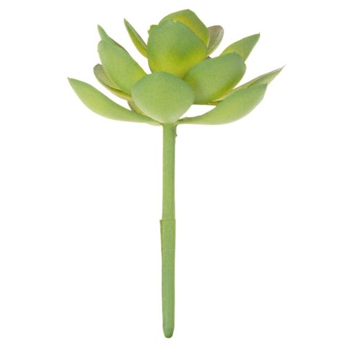 Künstliche Sukkulente grün, Kunststoff, 9 cm Höhe | Floristik24.at