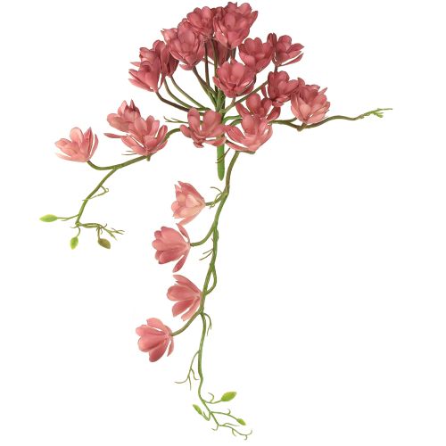 Sukkulente künstlich 28 Rosetten Aeonium Altrosa 43cm