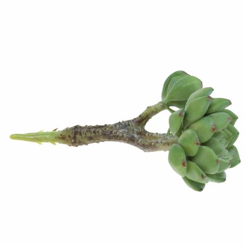 Artikel Sukkulente Echeveria künstlich Grün H15cm