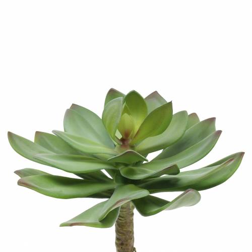 52cm Sukkulente Kaktus künstlich natur Sukkulentenzweig grün grau schattiert 