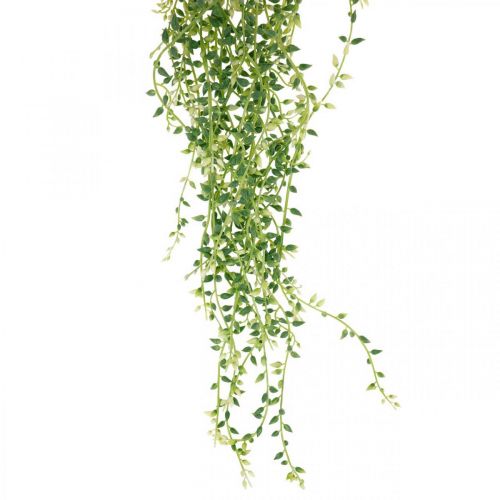 Sukkulente hängend künstlich Hängepflanze Grün 96cm