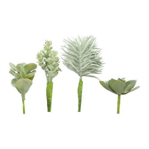 Sukkulenten Künstliche Grünpflanze Grün Sortiert 9-18,5cm 4St