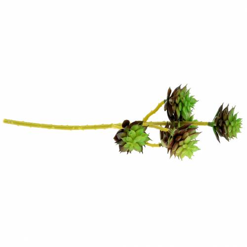 Artikel Sukkulentenpick Grün/Braun 35,5cm