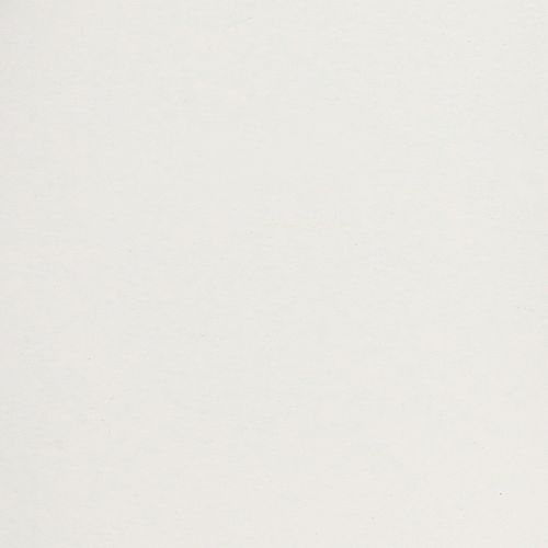 Artikel Tablett mit praktischen Griffen für vielseitige Nutzung im Haushalt und Gastronomie 30cm