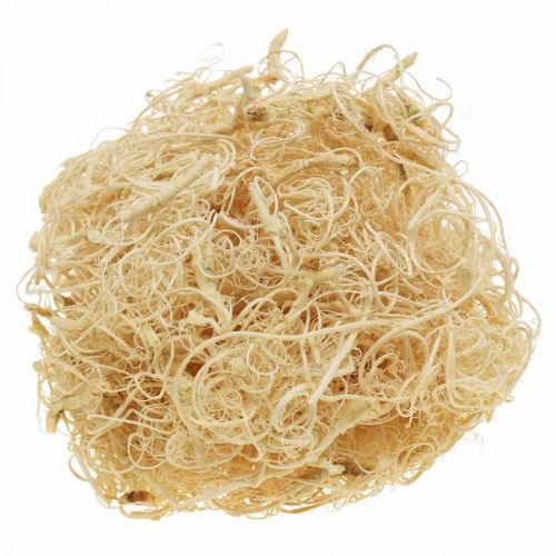 Artikel Tamarind Fibre 500g gebleicht