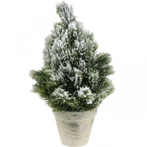Floristik24 Mini Weihnachtsbaum im Topf Künstlich Beschneit Ø18cm H32cm