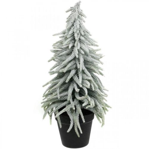 Floristik24 Winter-Tanne im Topf, Weihnachtsdeko, Tannenbaum mit Schnee H45cm