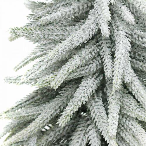 Floristik24 Winter-Tanne im Topf, Weihnachtsdeko, Tannenbaum mit Schnee H45cm