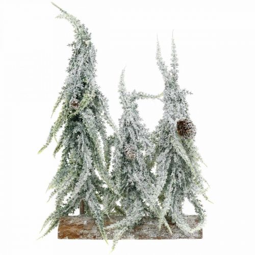 Floristik24 Tannenbäume mit Schnee, Adventsdeko, Winterwald L16,5cm H28cm
