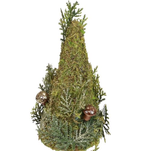 Floristik24 Tannen Deko Baum Moos Zapfen Pilze Grün Gold H35cm