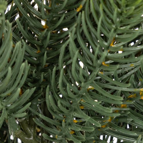 Künstlicher Tannenzweig Grün 50cm 3 Stück für Weihnachtsdekoration | Floristik24.at