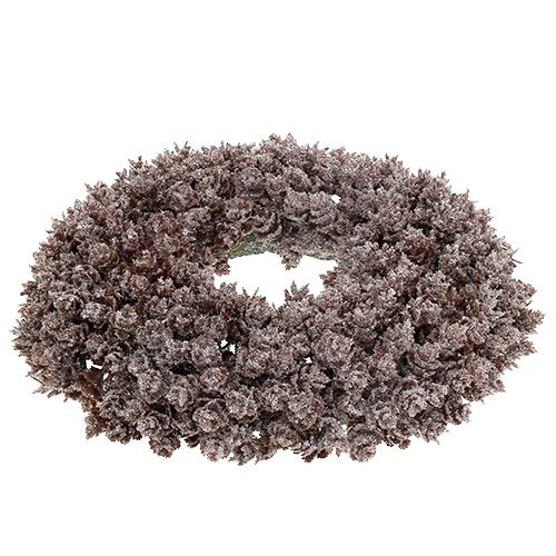Floristik24 Tannenzapfenkranz Ø25cm mit Glitter