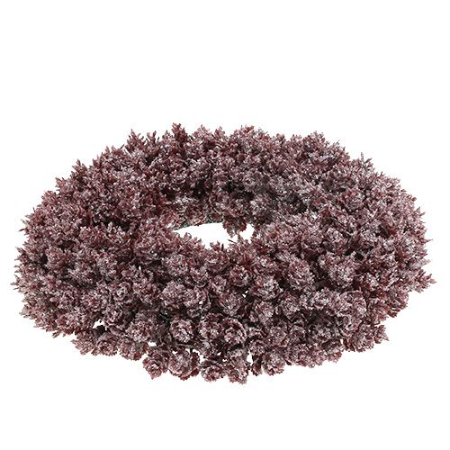 Floristik24 Tannenzapfenkranz Ø25cm Burgund geeist