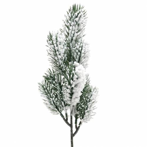 Floristik24 Tannenzweig Grün beschneit 39cm 8 St