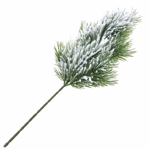 Floristik24 Kiefernzweig Grün beschneit 50cm