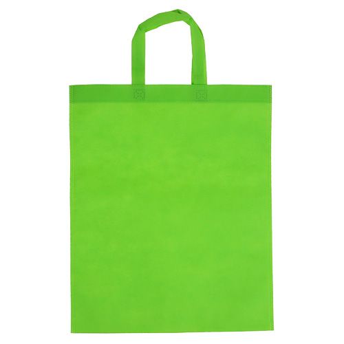 Floristik24 Tasche Grün aus Vlies 37,5cm x 46cm 24St