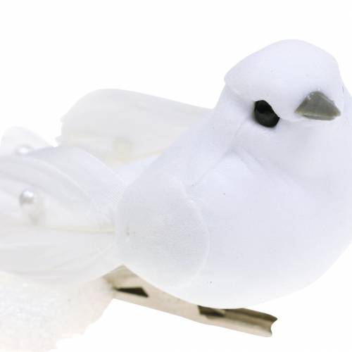 Floristik24 Taube mit Perlen und Clip Weiß H4,5cm 12St