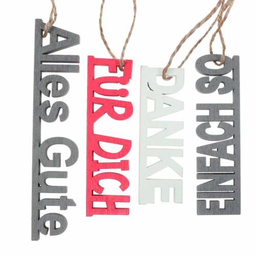 Floristik24 Geschenkanhänger Schriftzug 6-10cm 24 St sortiert