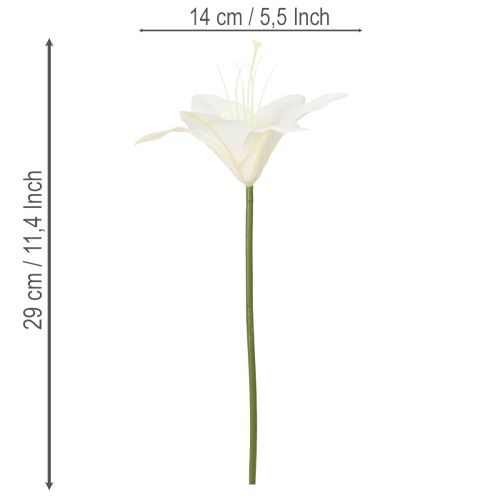Künstliche Tigerlilie Weiß Bund 6 Stück 29 cm für Innenbereich | Floristik24.at