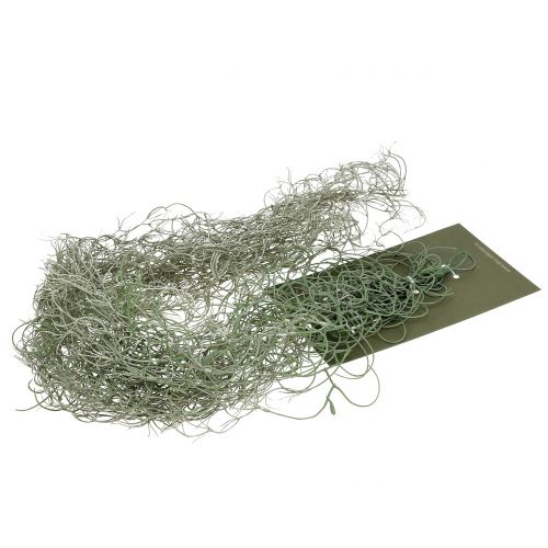 Floristik24 Tillandsia künstlich Grau 130cm