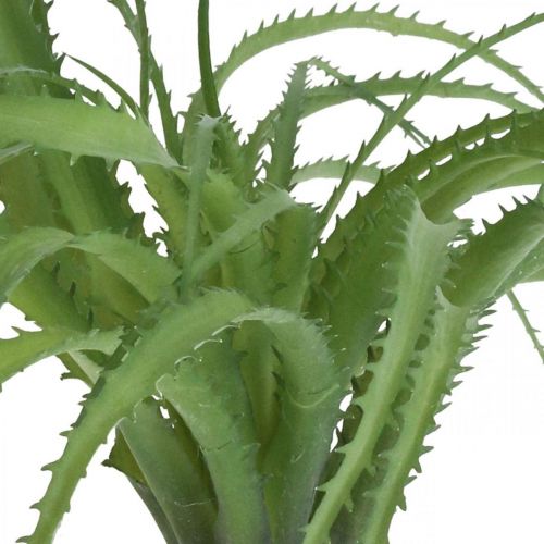 Floristik24 Aloe künstlich Grün Kunstpflanze zum Stecken Grünpflanze 38Øcm