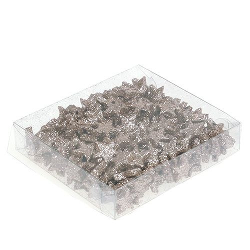 Floristik24 Tischdeko Stern Glimmer Champagner 1,5cm 144St