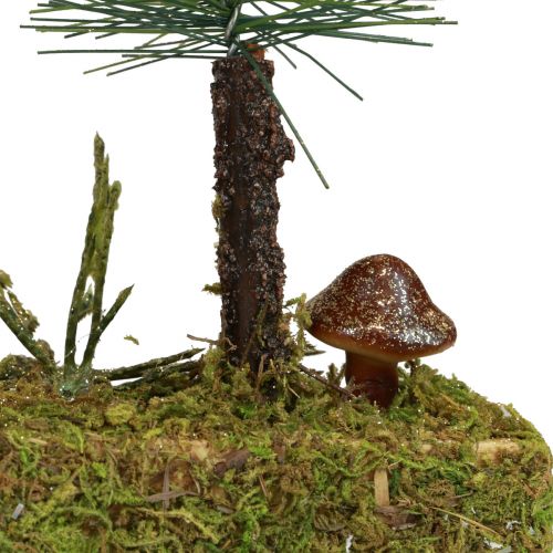 Floristik24 Tischdeko Mini Tannenbäume künstlich Tannenwald Sockel 30cm