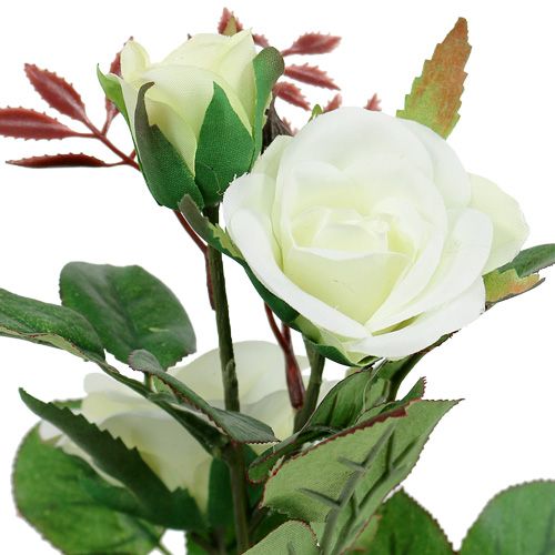 Floristik24 Tischdeko Rose im Topf Weiß 24cm